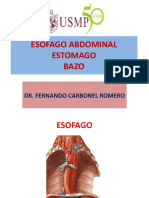Esofago Abdominal Bazo
