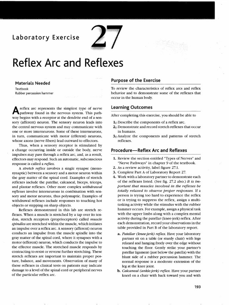 Reflex Lab PDF