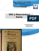Agresion Estres y SNC 2017.pdf