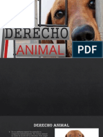 derecho animal