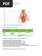 A Figura Seguinte Representa o Sistema Digestivo Humano