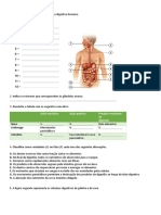 A Figura Seguinte Representa o Sistema Digestivo Humano