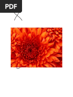 New Rich Text Document (2).rtf