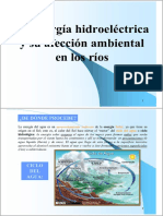 afeccion_hidroelectrica.pdf