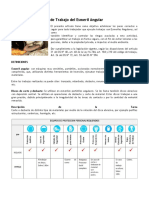 Procedimiento Seguro de Trabajo Del Esmeril Angular