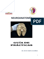 Guia Practicas Neuro