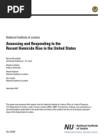 Assessing and Responding To The Recent Homicide Rise in The United States
