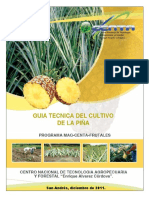GUIA TECNICA PIÑA 2011.pdf