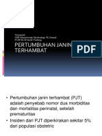 Pertumbuhan Janin Terhambat-Rtn