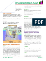 Ficha de Vero 2015 Eco