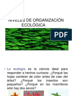 Orgnizacion ecologica