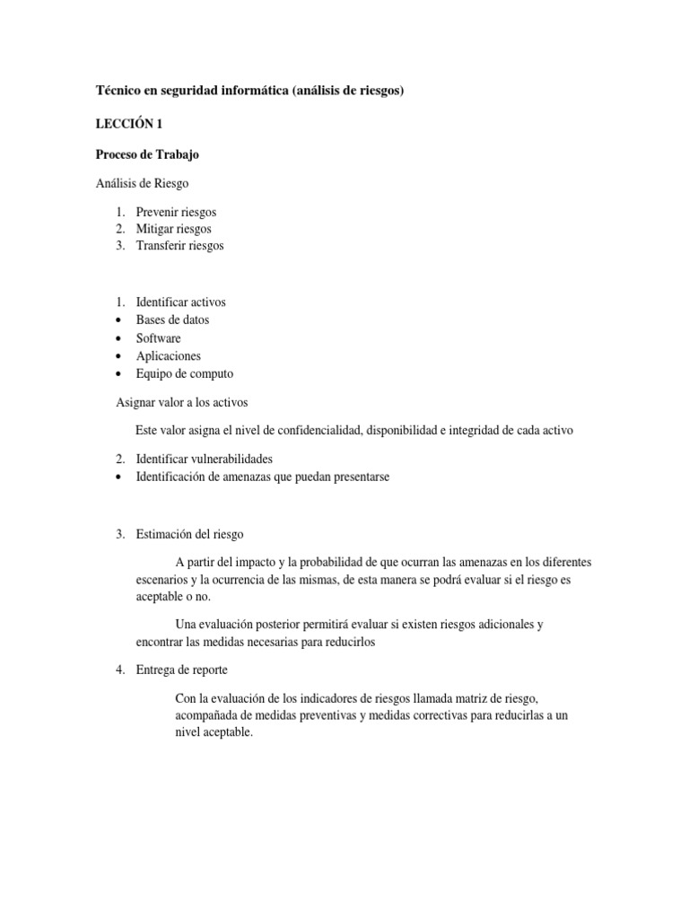 Análisis de Riesgos en Seguridad Informática | PDF | La seguridad ...
