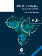 Mapa2014_JovensBrasil_Preliminar.pdf