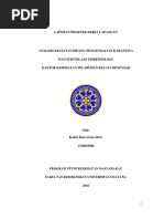 Download Laporan PKL KKP Denpasar by WINDUSARAOKA SN366331500 doc pdf