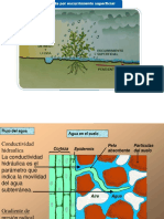 Clase Agua en Suelo 11