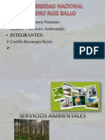 Servicios Ambientales