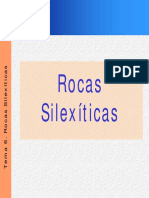 Tema 6. Rocas Silexíticas.pdf