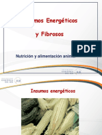 Clase 10 Insumos Energeticos Fibrosos UCSUR