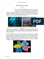 7_Phaeophyta_texto.pdf