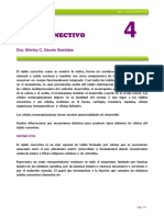 Capitulo4 Tej conectivo (1).pdf