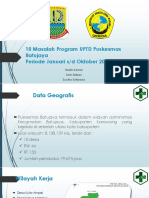 10 Masalah Program UPTD Puskesmas Batujaya