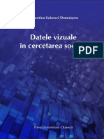 Datele Vizuale