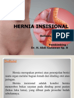 Hernia Insisional