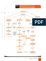 110640619-Mapa-Conceitos-Bio.pdf