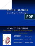 Embriologia Aparatodigestivo 100806175435 Phpapp01 PDF