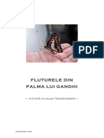 Fluturele din palma lui ghandi.pdf