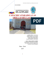 Monografia Seguridad y Defensa Nacional Capachica 