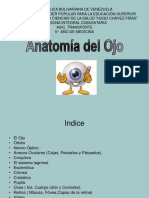 Estructura y funciones del ojo humano