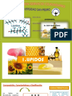 Lipidos 1-Exposicion