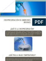 Criopreservación de Embriones Bovinos