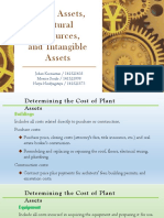 Plant, Assets, Natural Resources and Intangible Assets