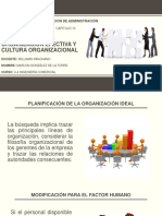Organización efectiva y cultura organizacional