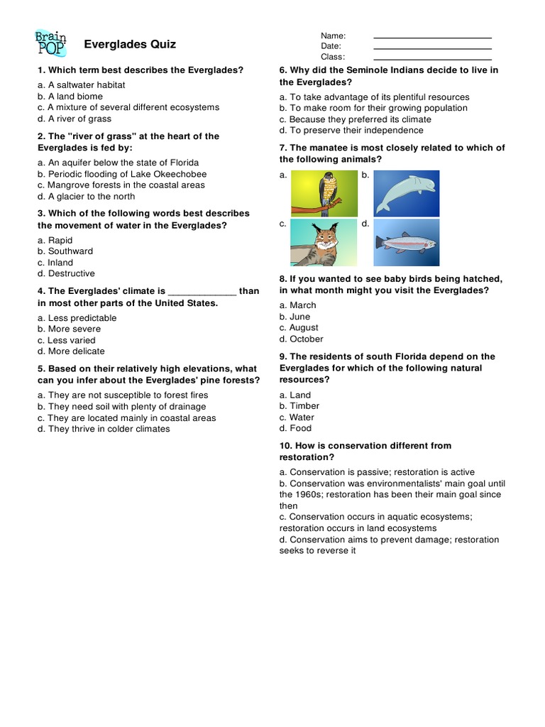 Everglades Pdf Everglades Environment