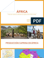 Producción Caprina en África