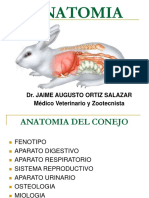 2 Anatomia Del Conejo