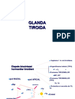 CursIV Tiroida - Stoma Gusa