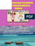 Insuficiencia Renal