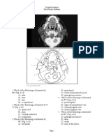 Sectional Anatomy Neck Practice Problems