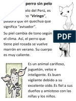 Viringo