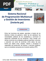 Generalidades sobre la PIIP | PDF | Presupuesto