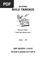 Kliping Bulu Tangkis