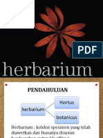 Herbarium Dan Isektarium