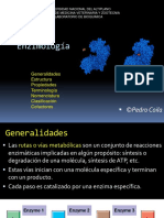 25430831-Enzimas-generalidades-propiedades-clasificacion-Coila-P-FMVZ-UNA-Puno.pdf