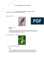 Plantas Que Se Usan en El Tratamiento de Las Diarreas