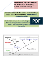 4.2. Platy Aschelminyhes