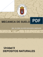 Unidad 9 DEPOSITOS NATURALES DEL SUELO.pdf